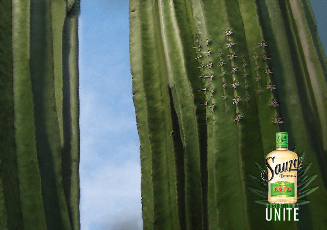 SAUZA-cactus.jpg