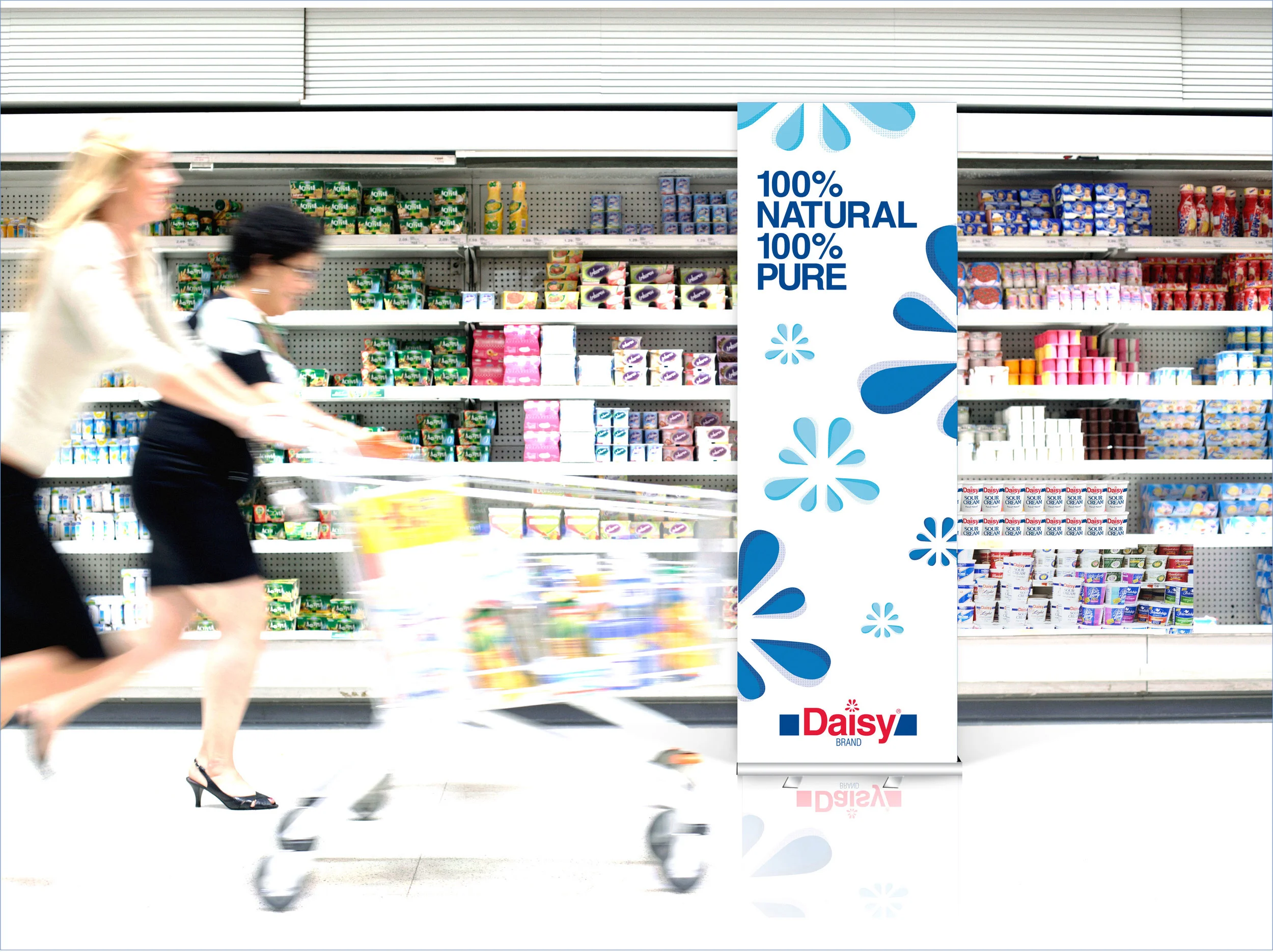 DaisySourCream_insitu.jpg