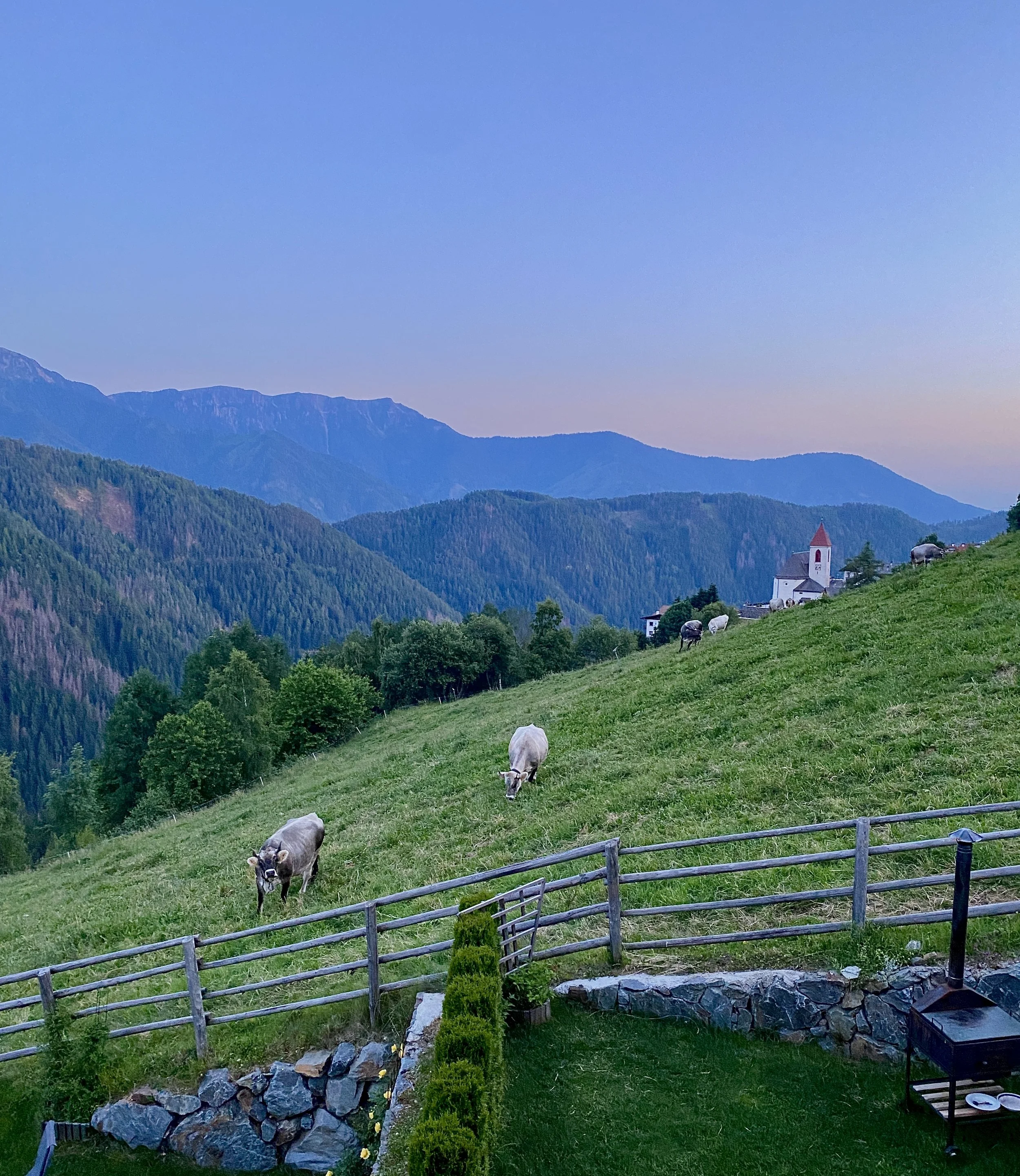 View from a window above Bressanone, with cows and mountain peaks