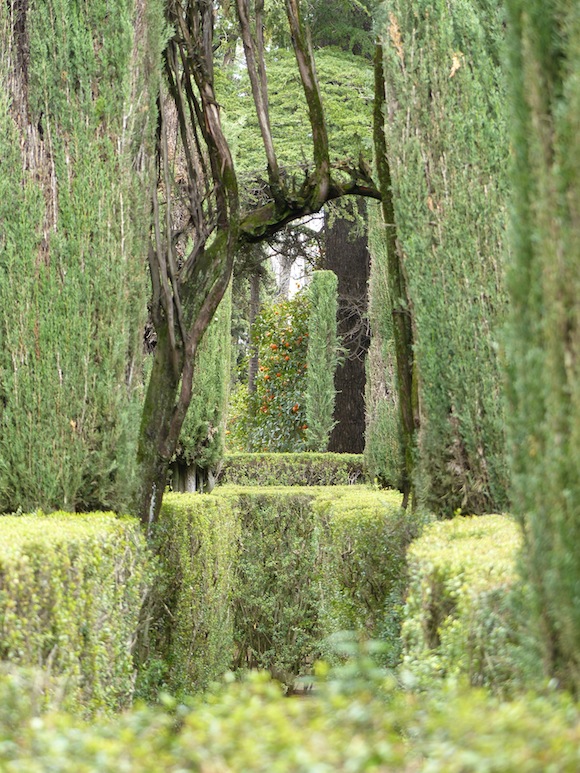 alcazar-in-maze.jpg