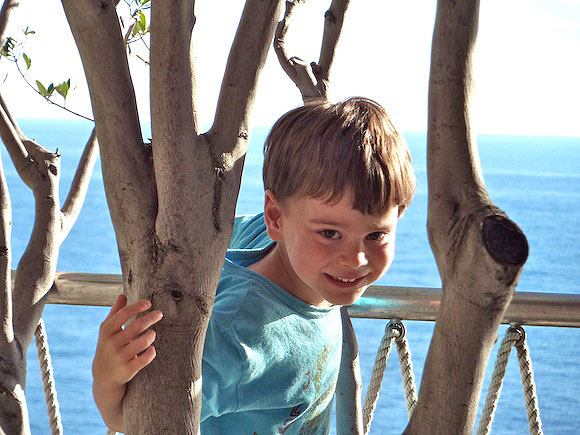 ischia-gabe-tree-2.jpg