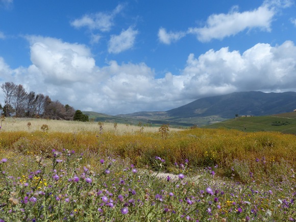 segesta-view.jpg