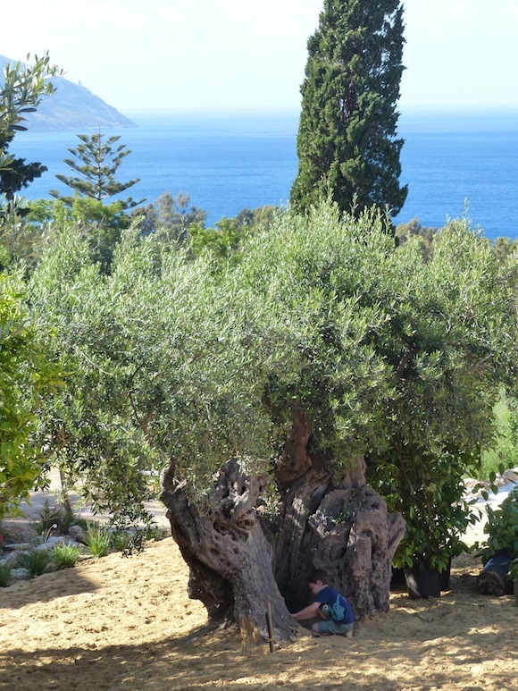 scopello, sicily, italy