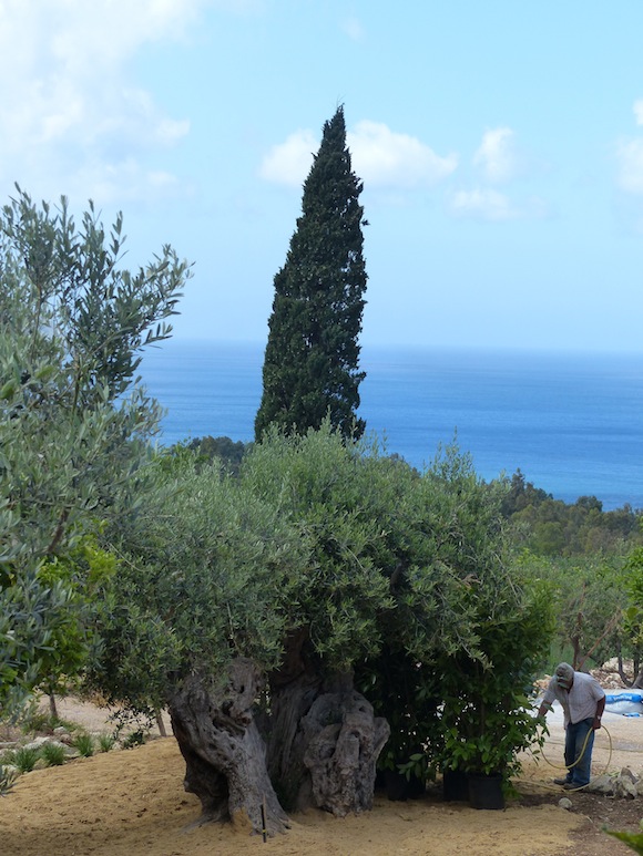 scopello, sicily, italy