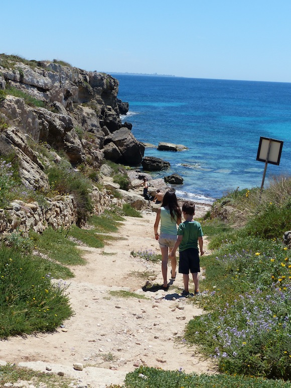 fav-beach2-walk-flowers.jpg