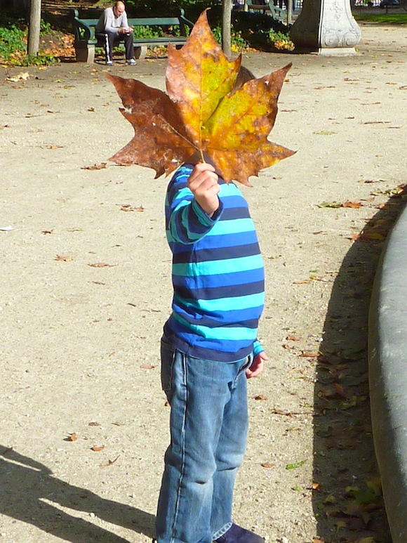 brussels-gabe-leaf.jpg