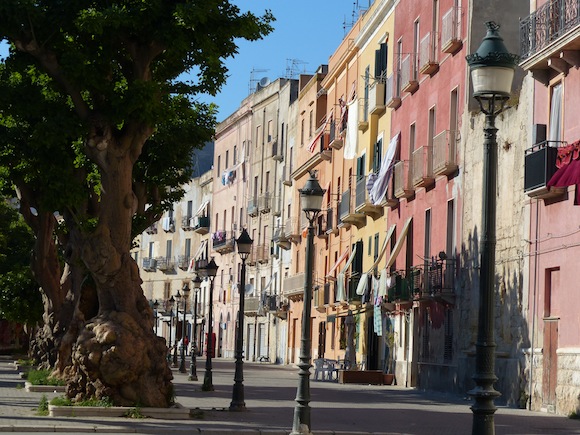 trapani-buildings-tree.jpg