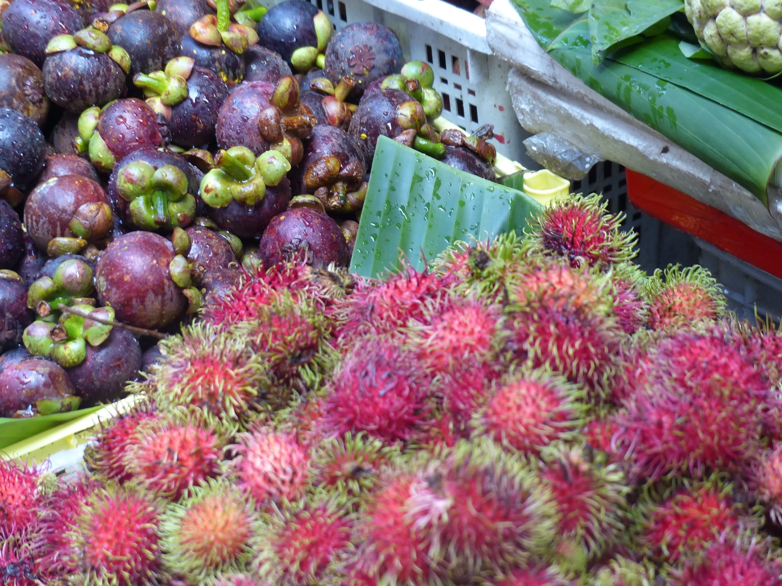 thai fruit.jpg