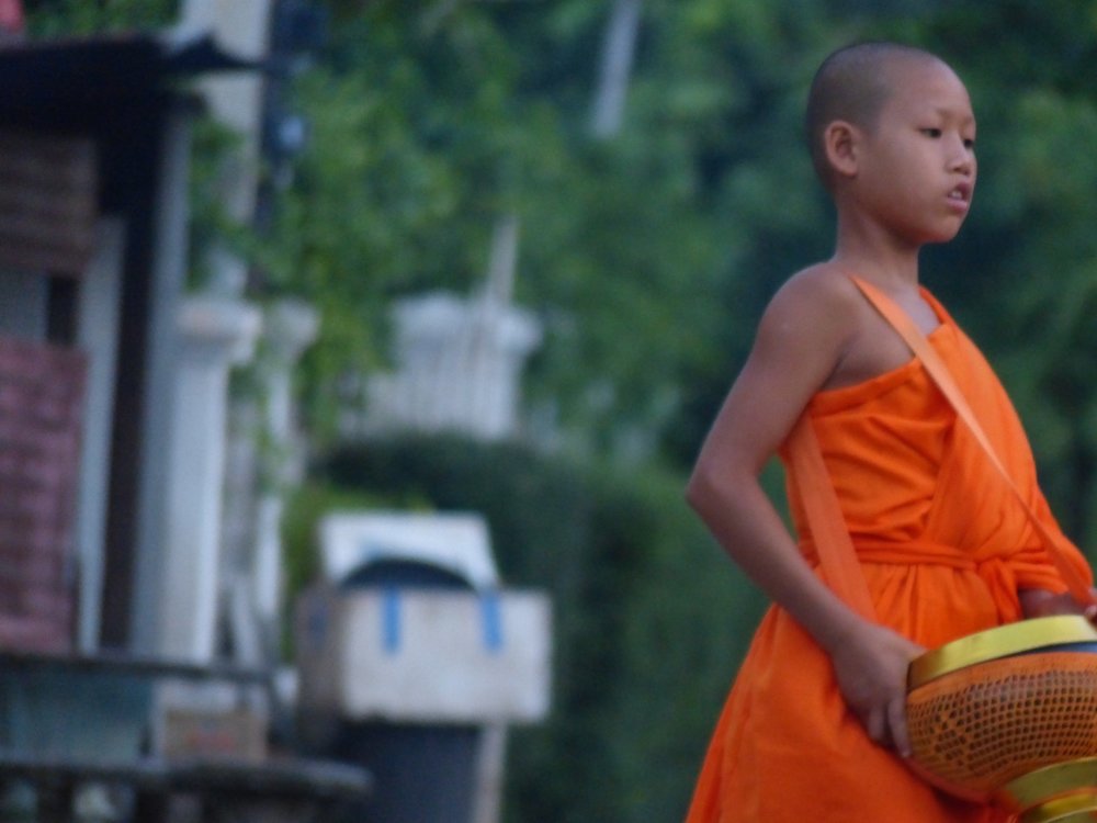 Young monk