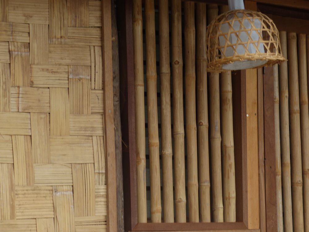 Where did the idea for a home entirely made of bamboo come from?