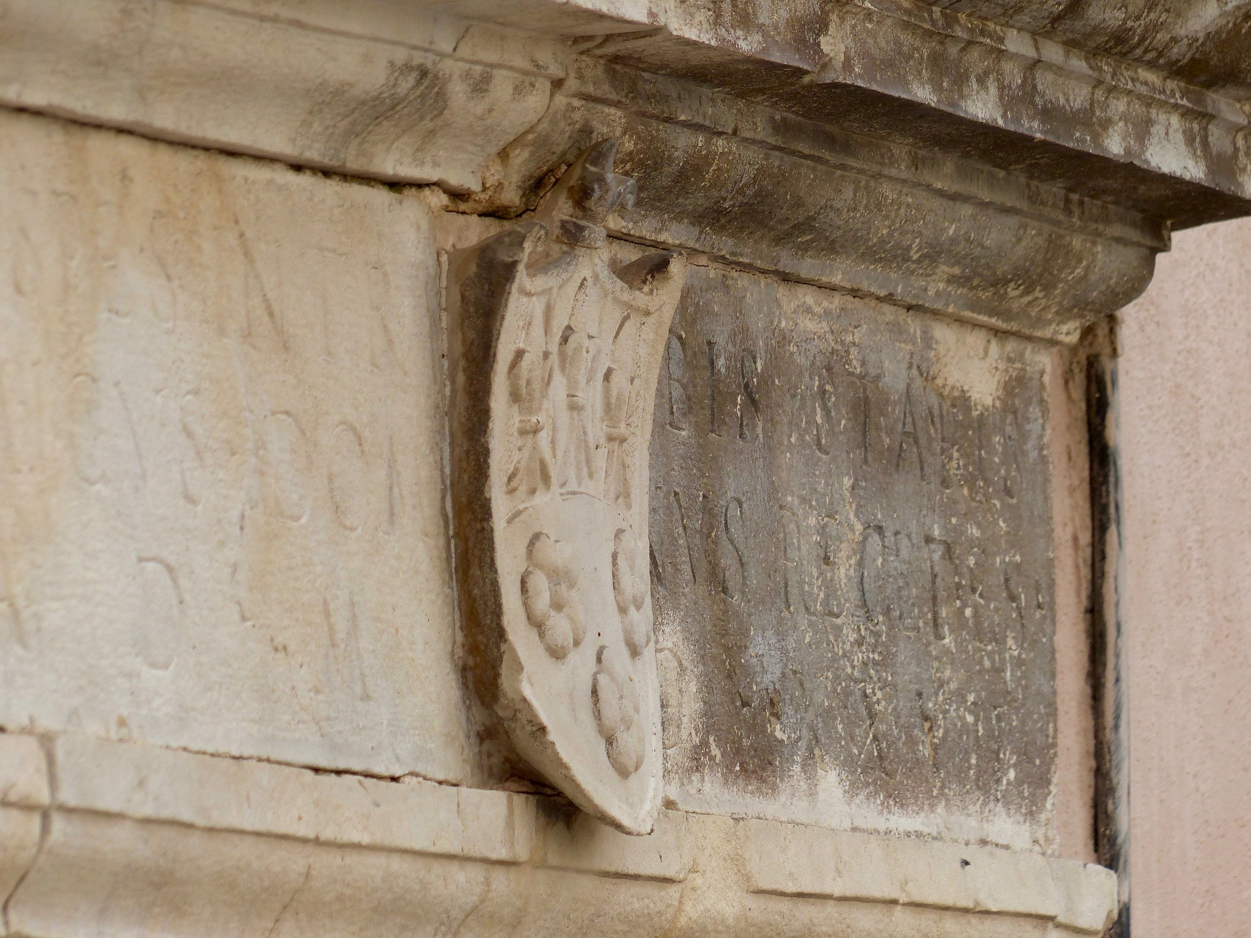 trevi_shield.jpg