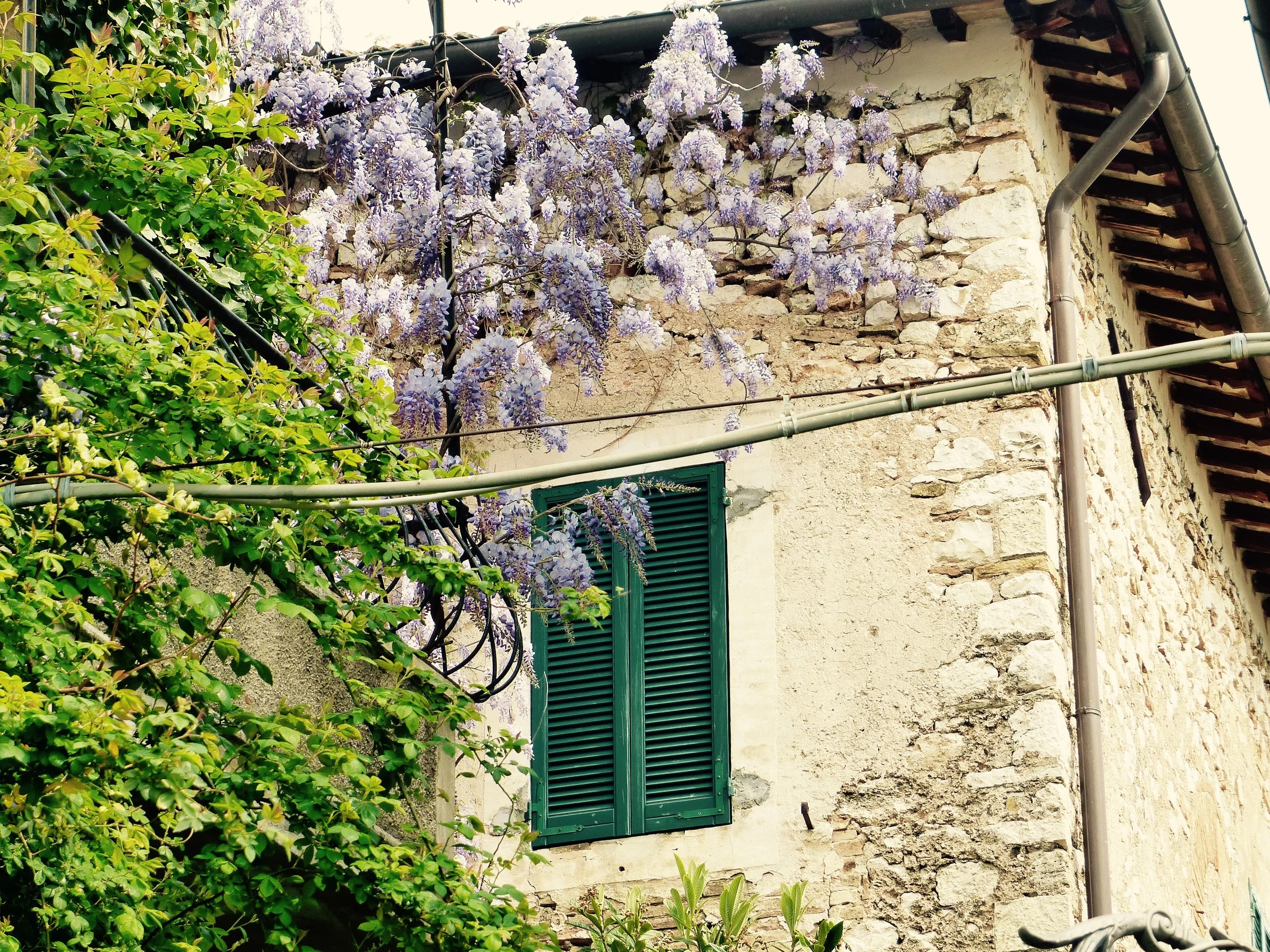 Umbrian destinations, daytrip Spello, Trevi, Umbria, Italy