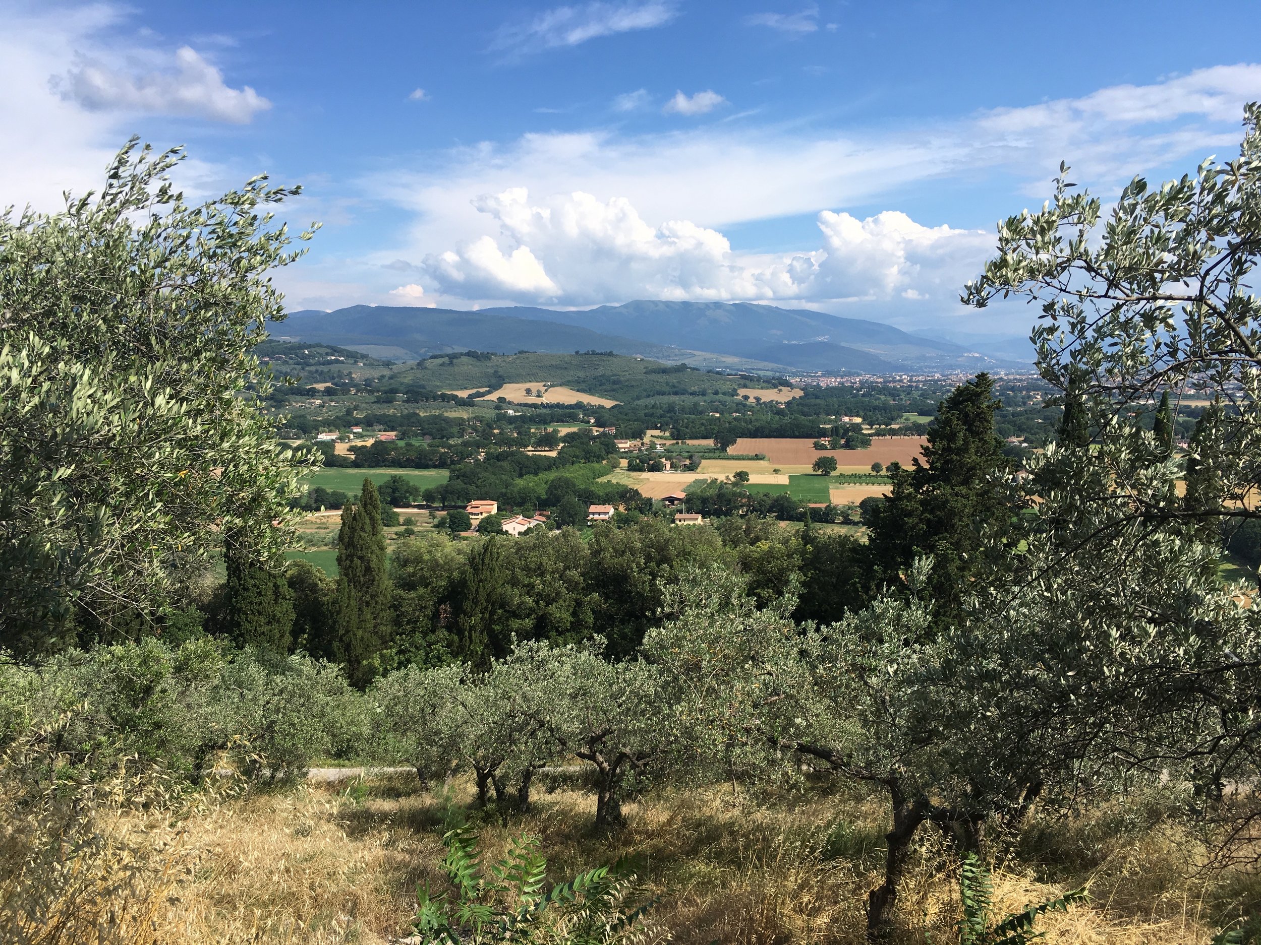 spello-aqueduct-view 2.jpg