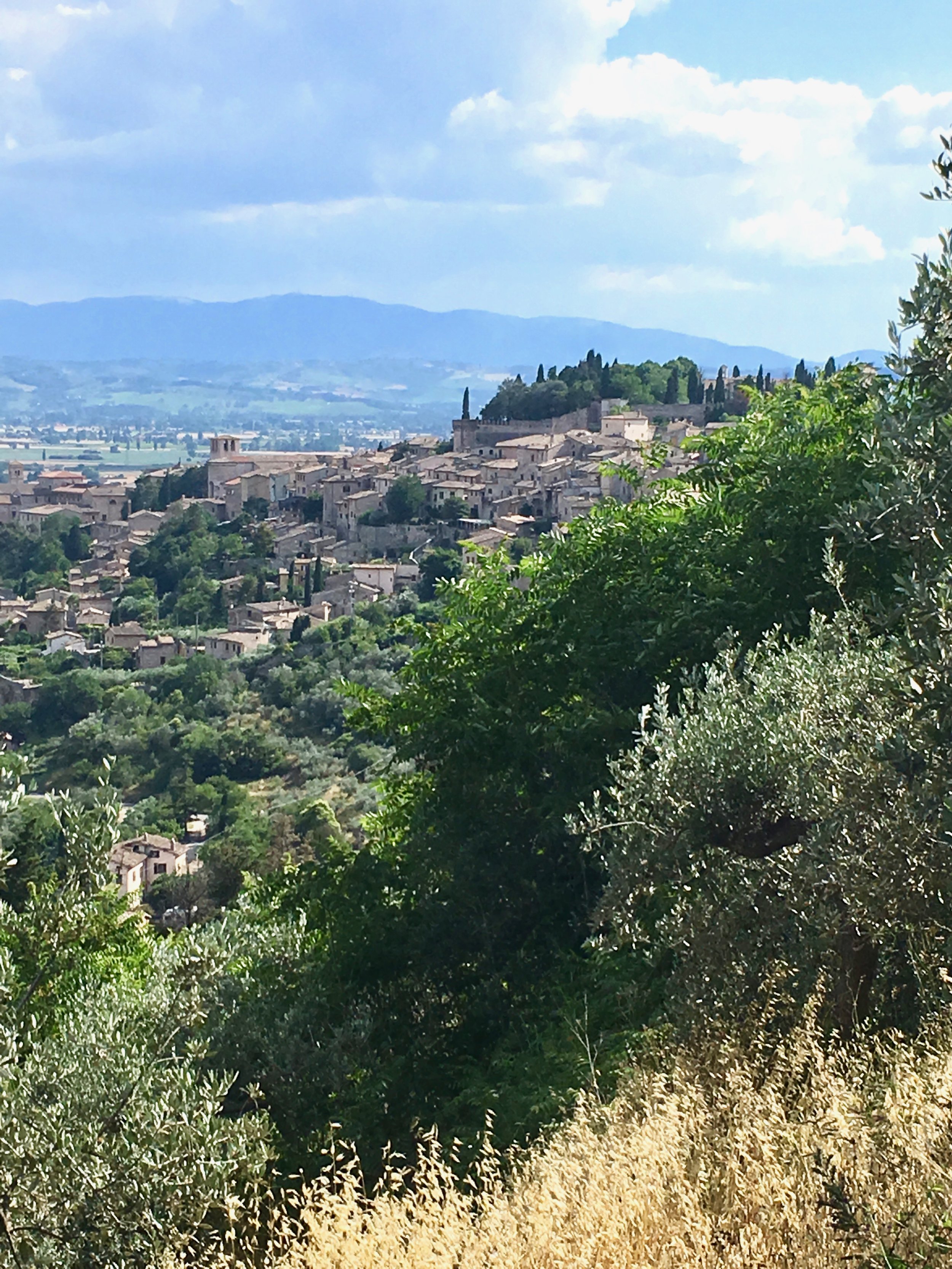 View of Spello