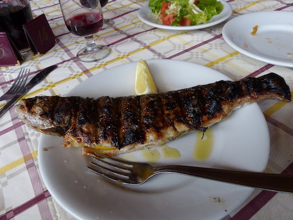 Umbrian trout from Cascate delle Marmore, Umbria