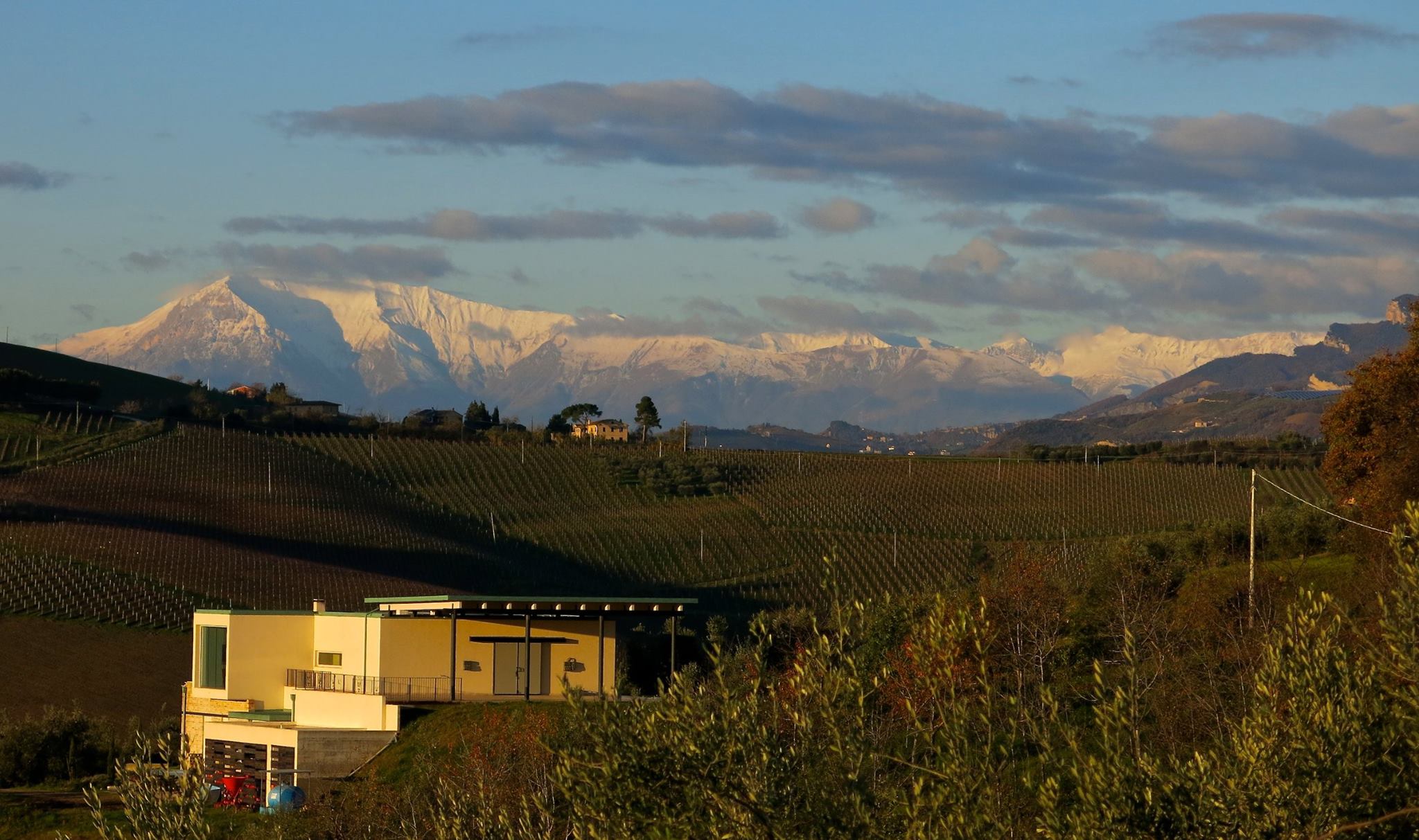 The Southern Marche Region, an Unknown Gem — Michelle Damiani