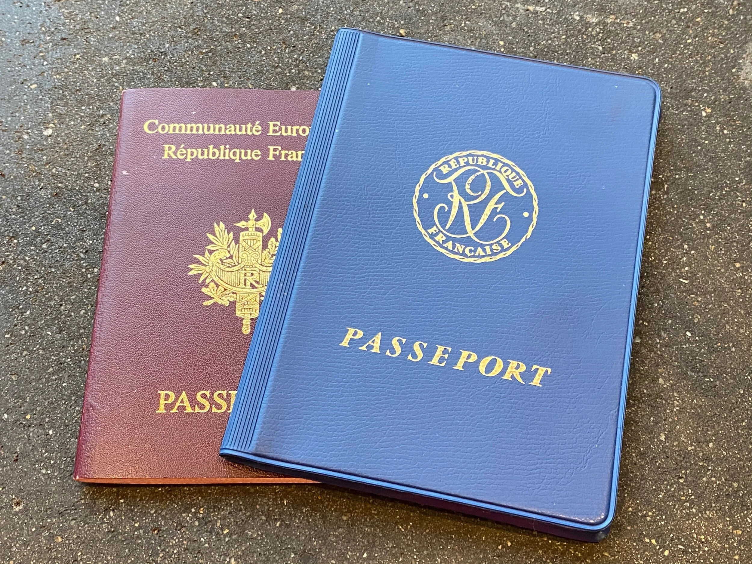 Am I French? — Michelle Damiani