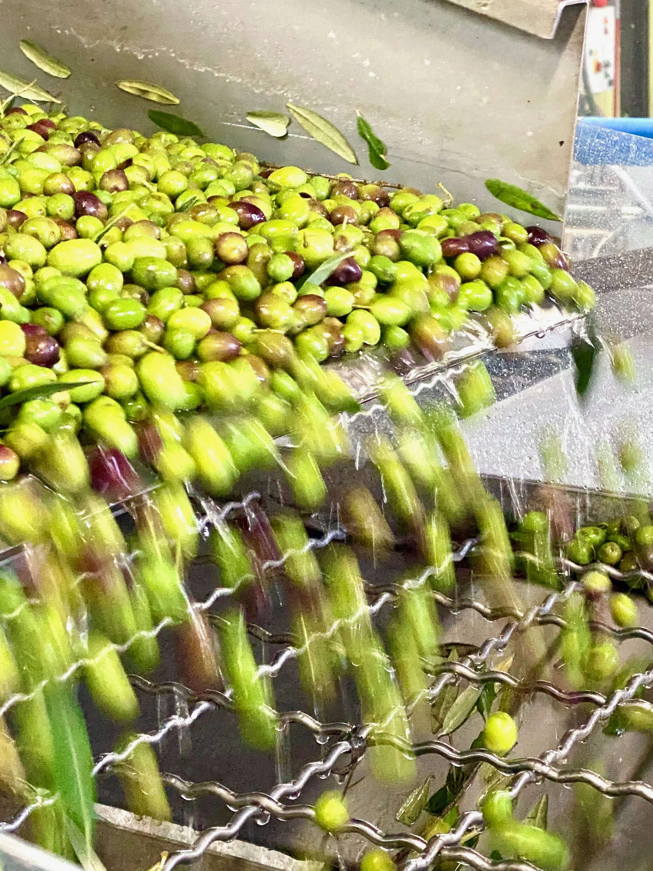 Modernization and Mass Production are not the same thing