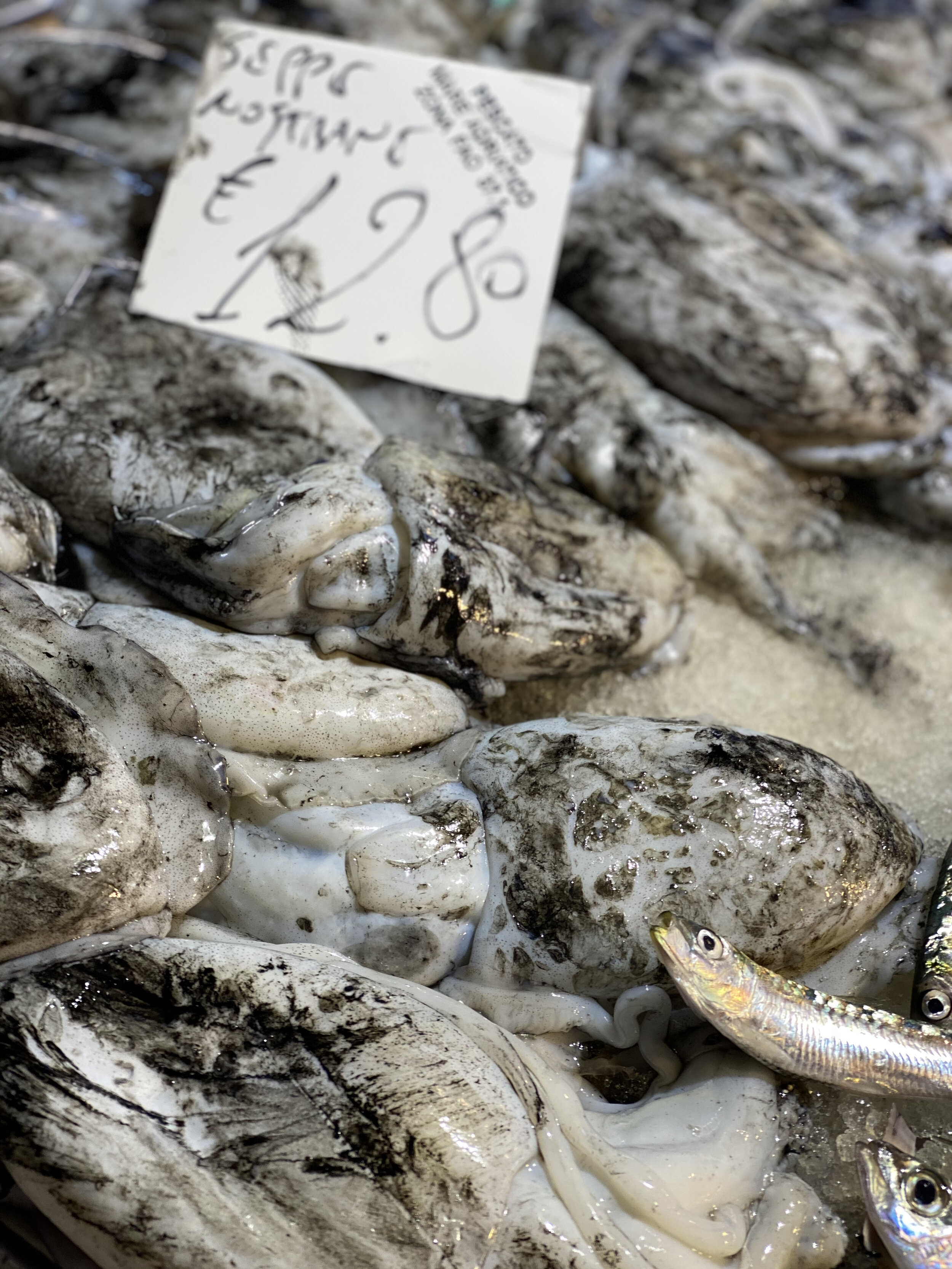 venice-rialto-market-cuttlefish-silver2.jpeg