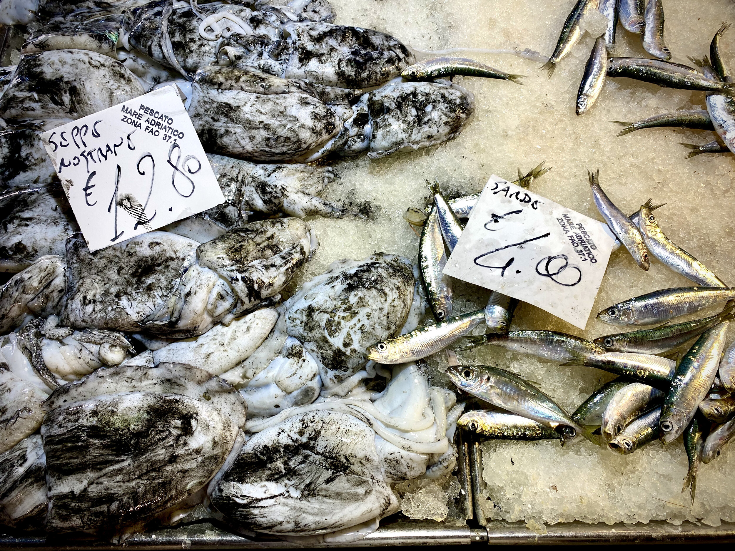 venice-rialto-market-cuttlefish-silver.jpeg