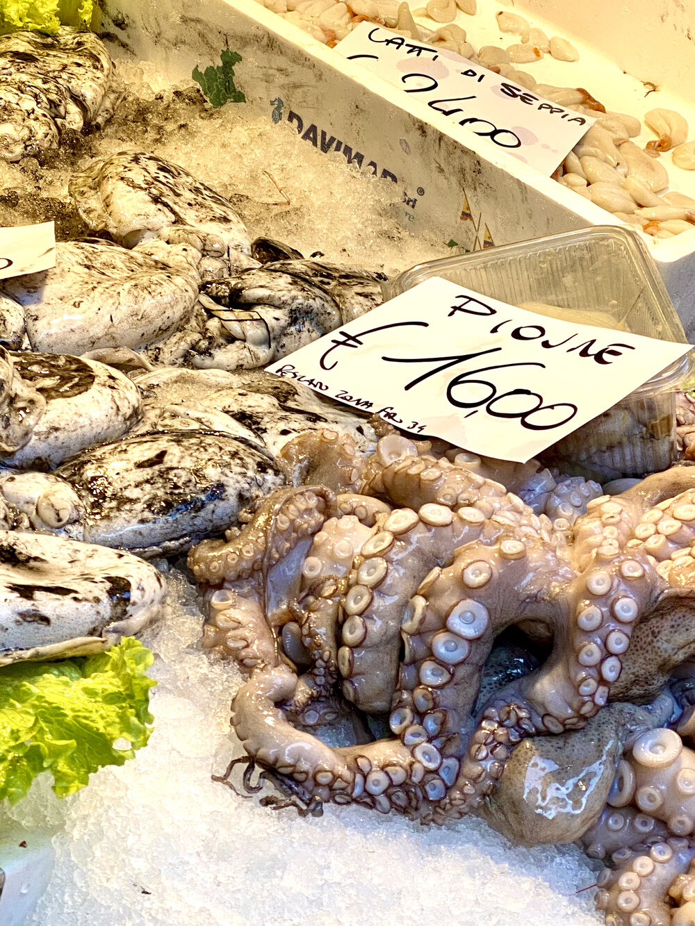 venice-rialto-market-polpo-octopus.jpeg