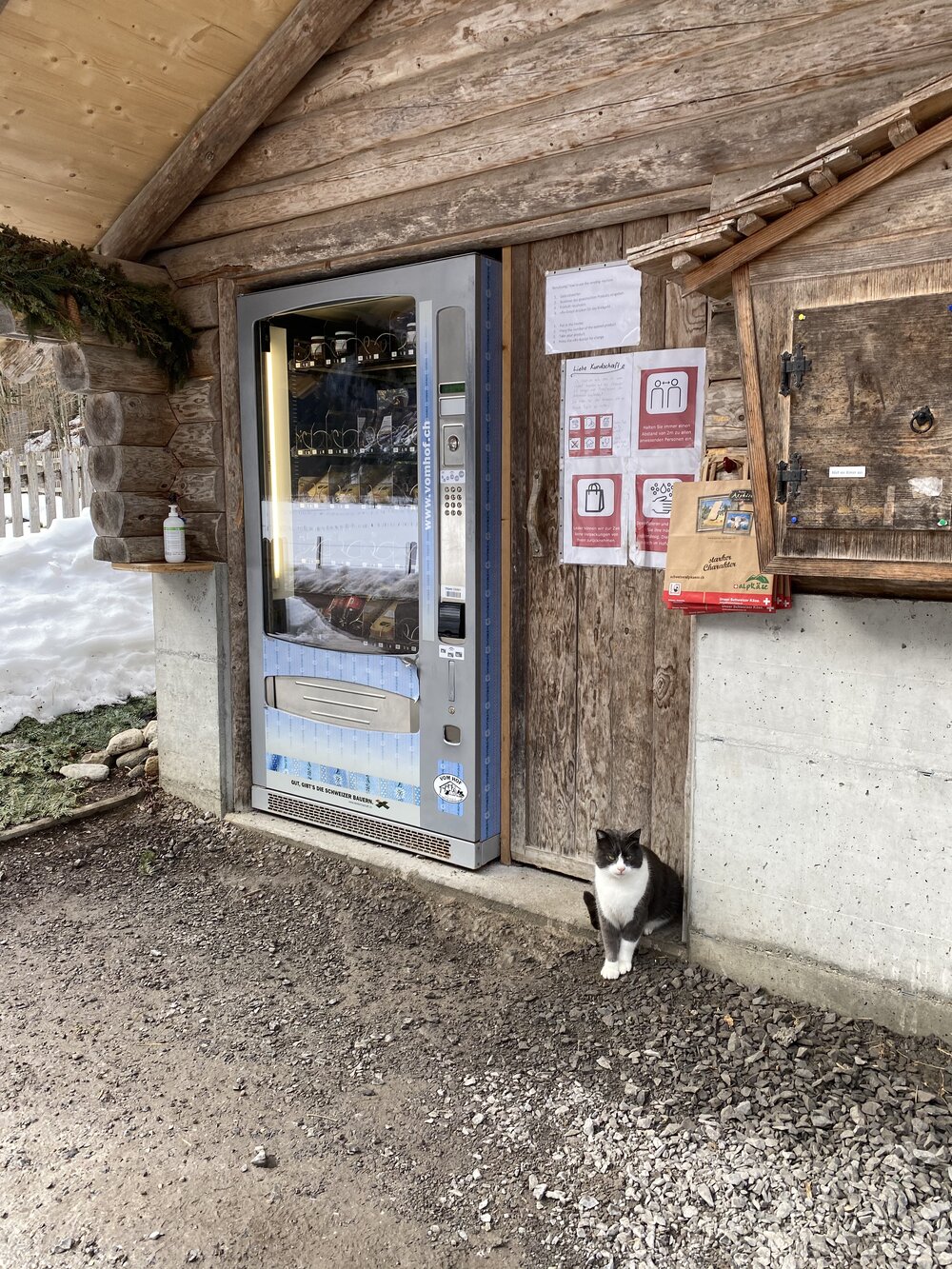 cat vending machine 2.jpg