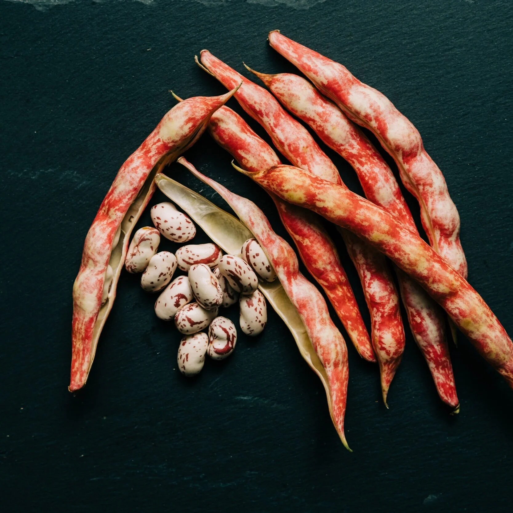 Cristiana's Borlotti Bean Soup