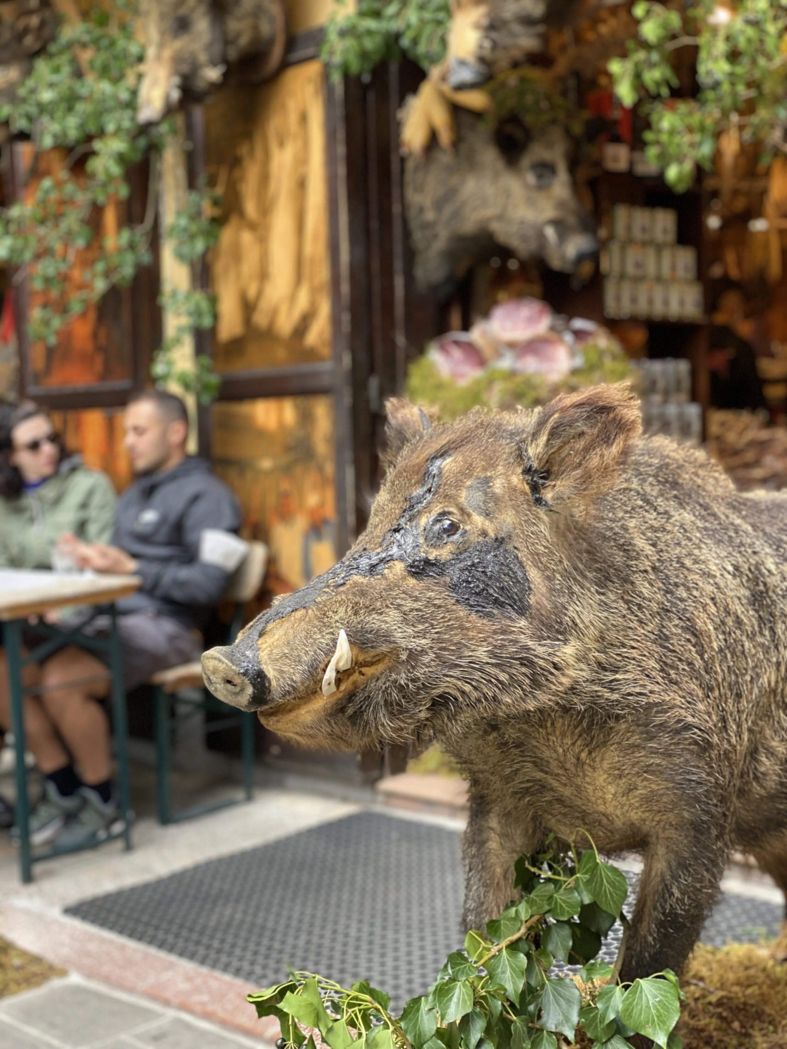 Norcia, after the Quake