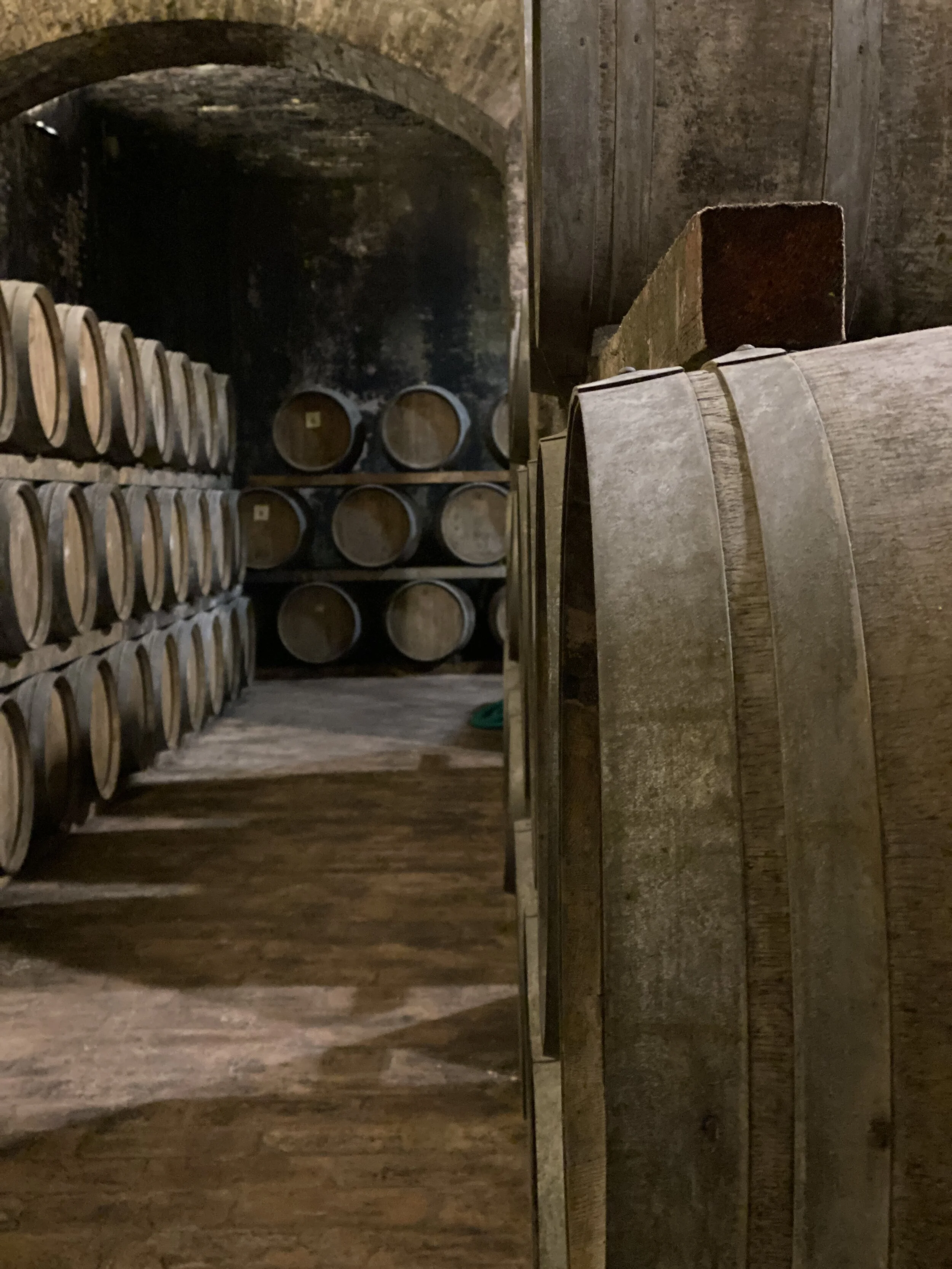 authentic italy in a winery in montefalco, umbria