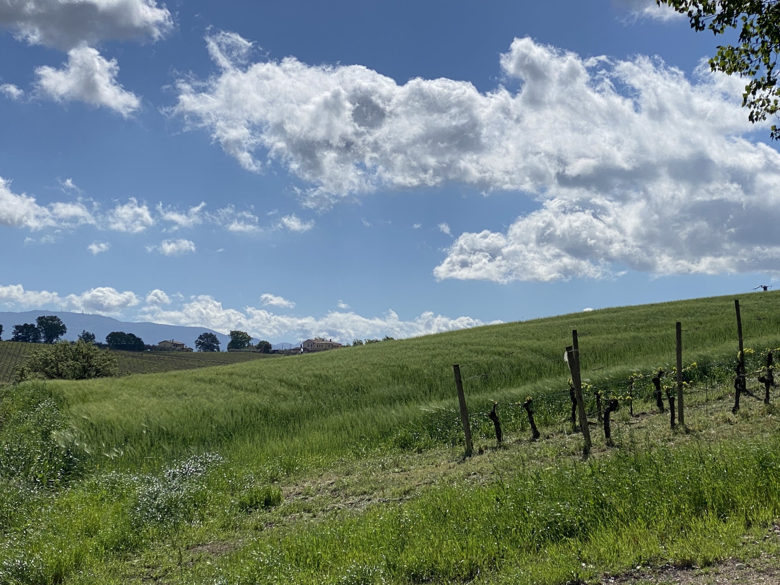 Off the beaten path Italy: Montefalco Umbria