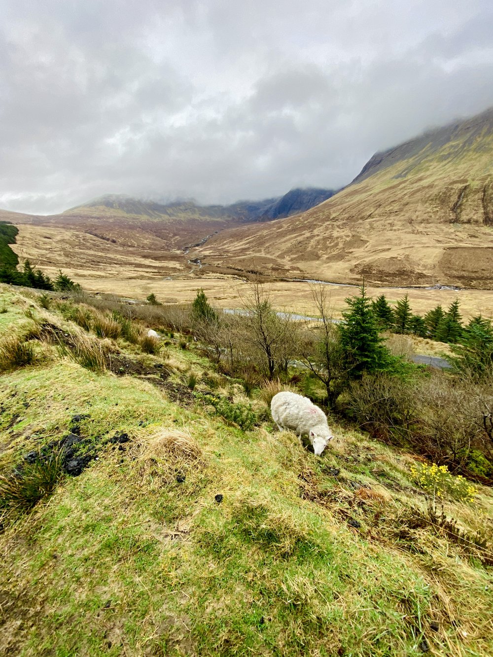 hiking family vacation to isle of skye, scotland