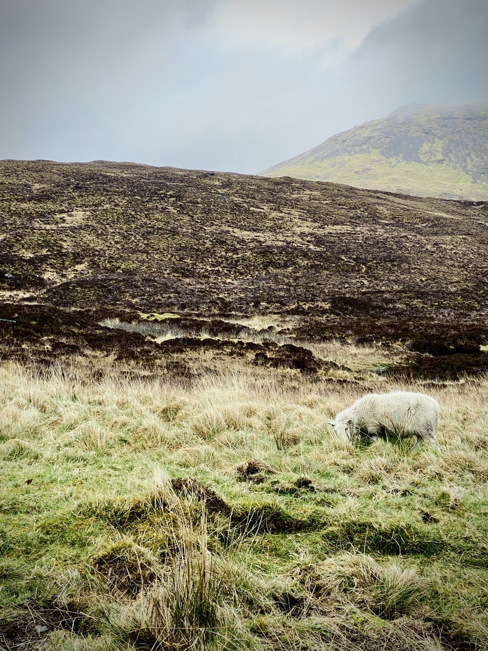 hiking family vacation to isle of skye, scotland