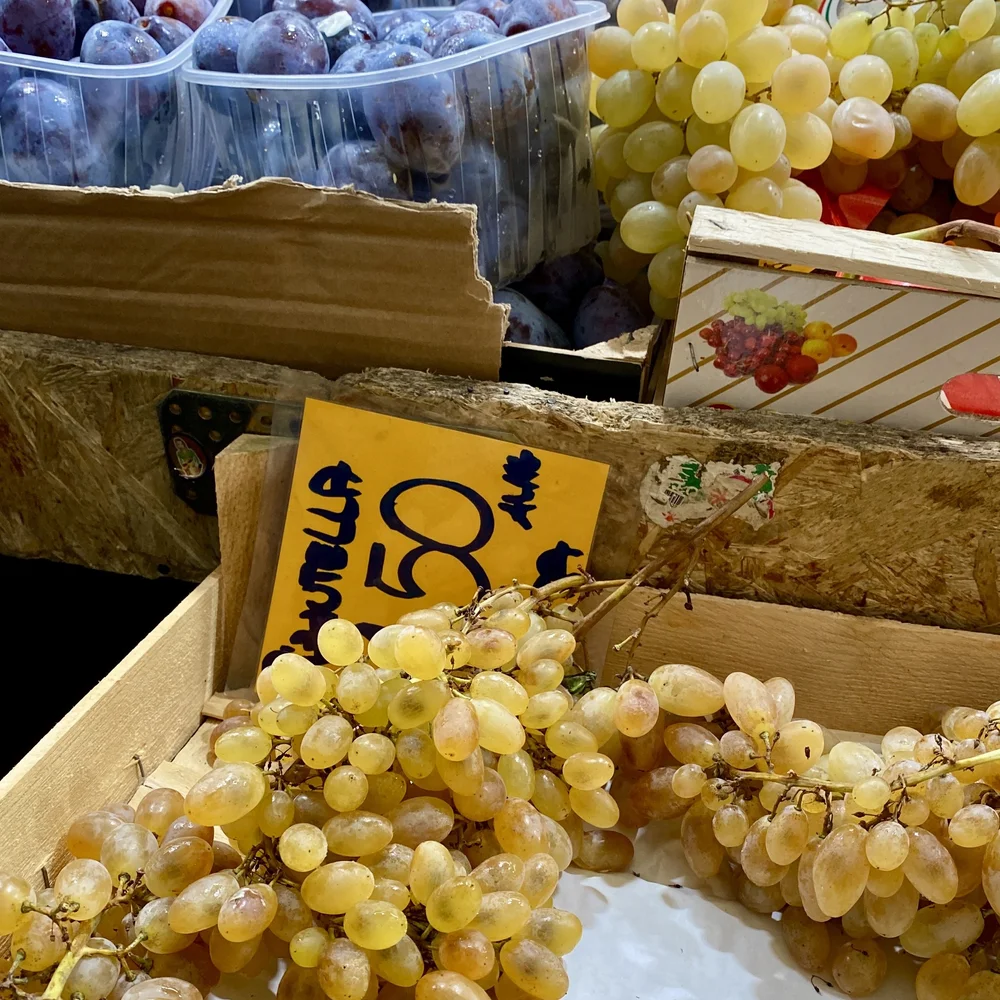 Should you visit Genoa? (Copy)