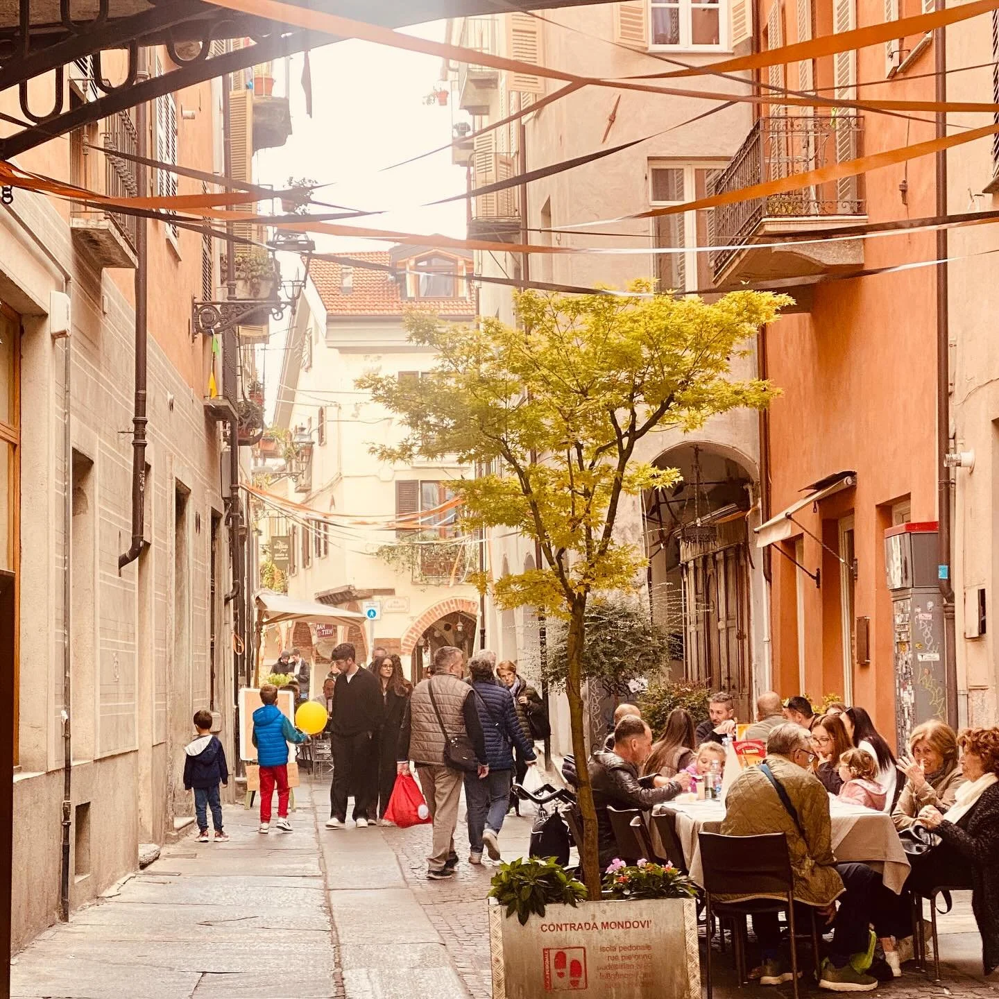 How lucky was I to arrive in the Piedmont during chestnut season? I love the smell of roasting chestnuts, I love the fun of watching them toss and spin over fire, and I love peeling each one loose from its shell to pop it in my mouth for a hit of ear