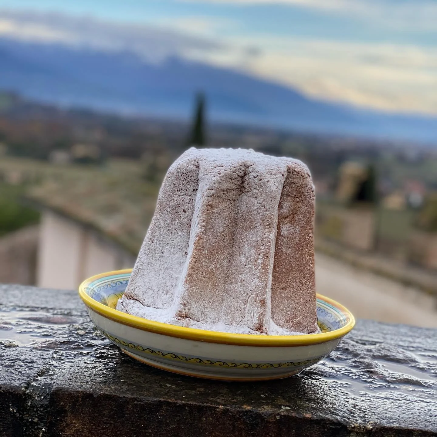 A pandoro is a star-shaped, vanilla powder sugar dusted, cake/bread hybrid traditionally from Verona. It&rsquo;s buttery and rich and the perfect way to ring in a new year! Have you had your 2026 pandoro?