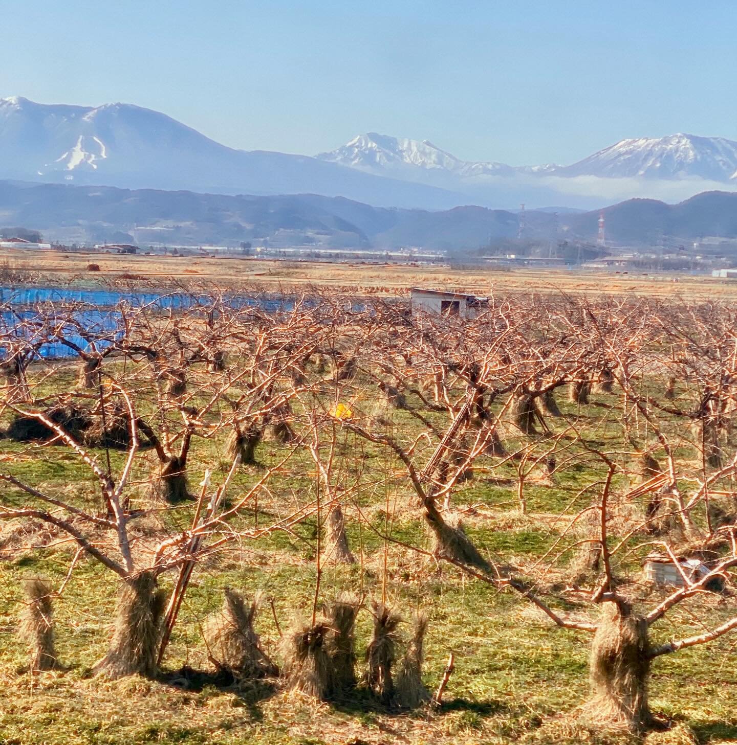 Funny that as many posts I see about Japan, few mention the jaw-dropping, staggering beauty of the countryside. If you want views for days, Nagano prefecture is worth considering. Plus, a guy from New Zealand I ran into at the convenience store told 