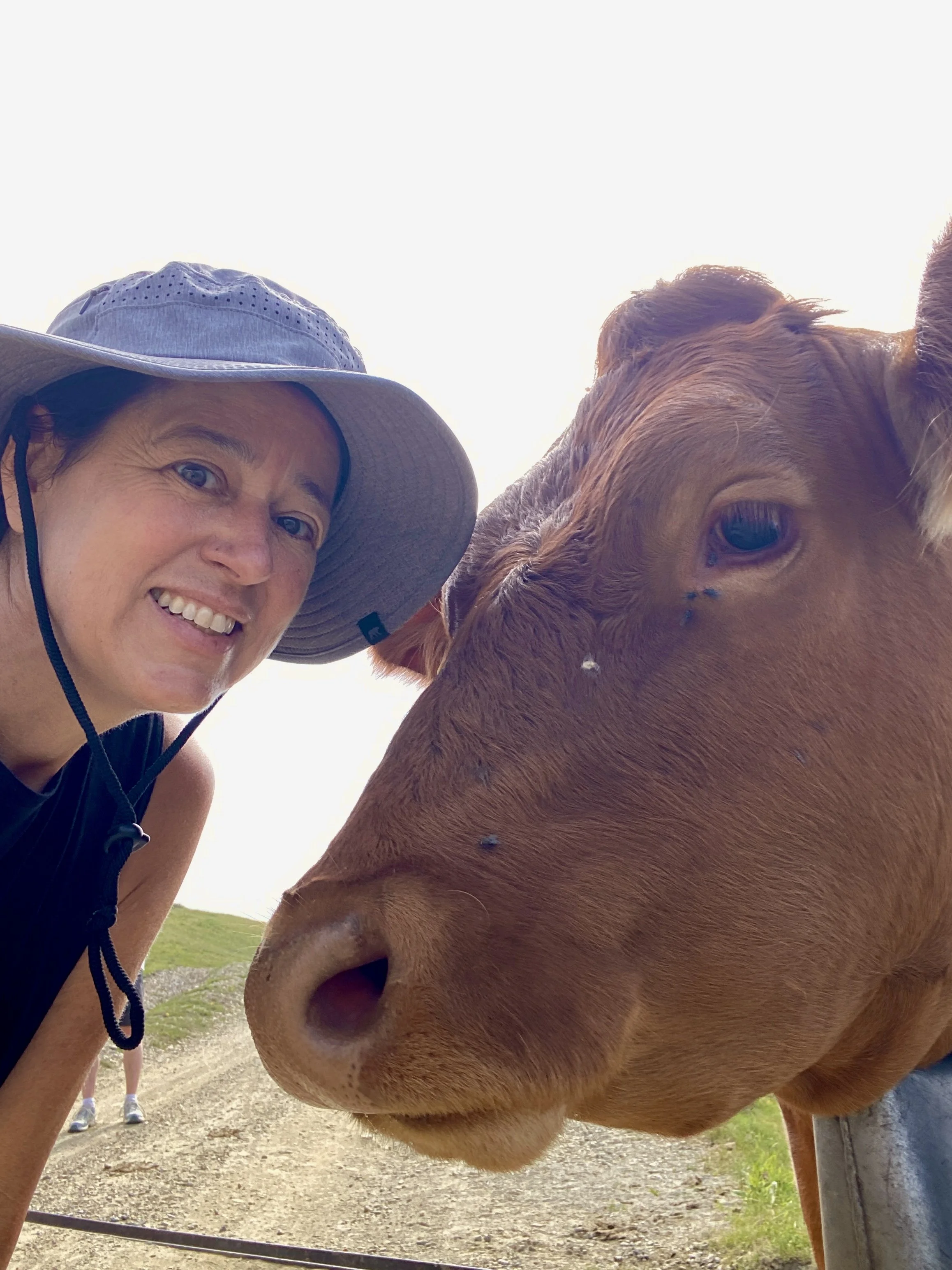 family fun in the Italian alps