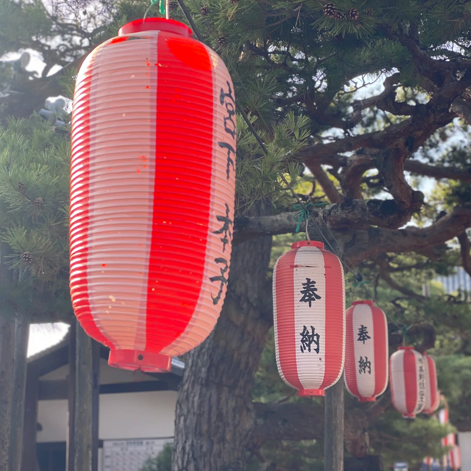 What must Japanese Travelers Think of Italy?