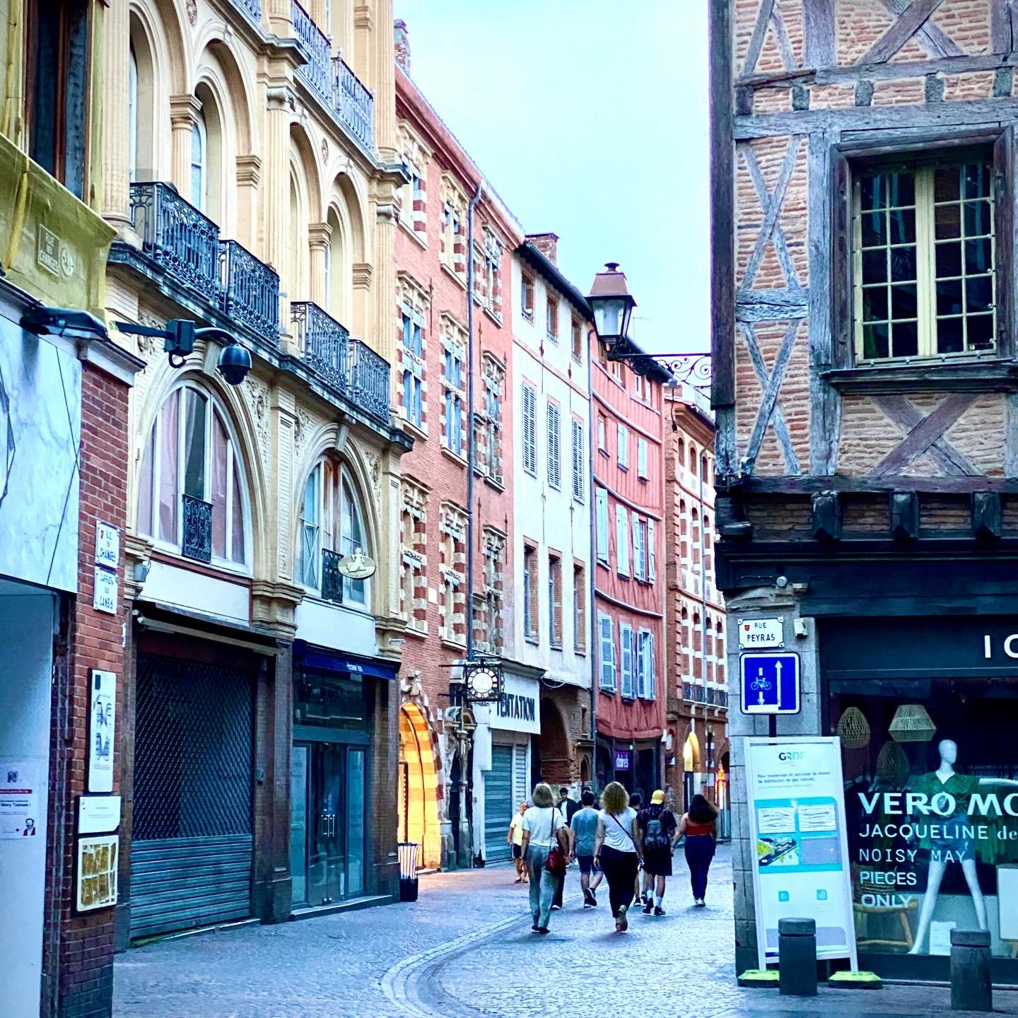 I booked a drawing holiday in the Pyrenees, which reminded me of a trip to Toulouse after my first botanical art workshop. Such a treasure of a city&mdash; have you been?