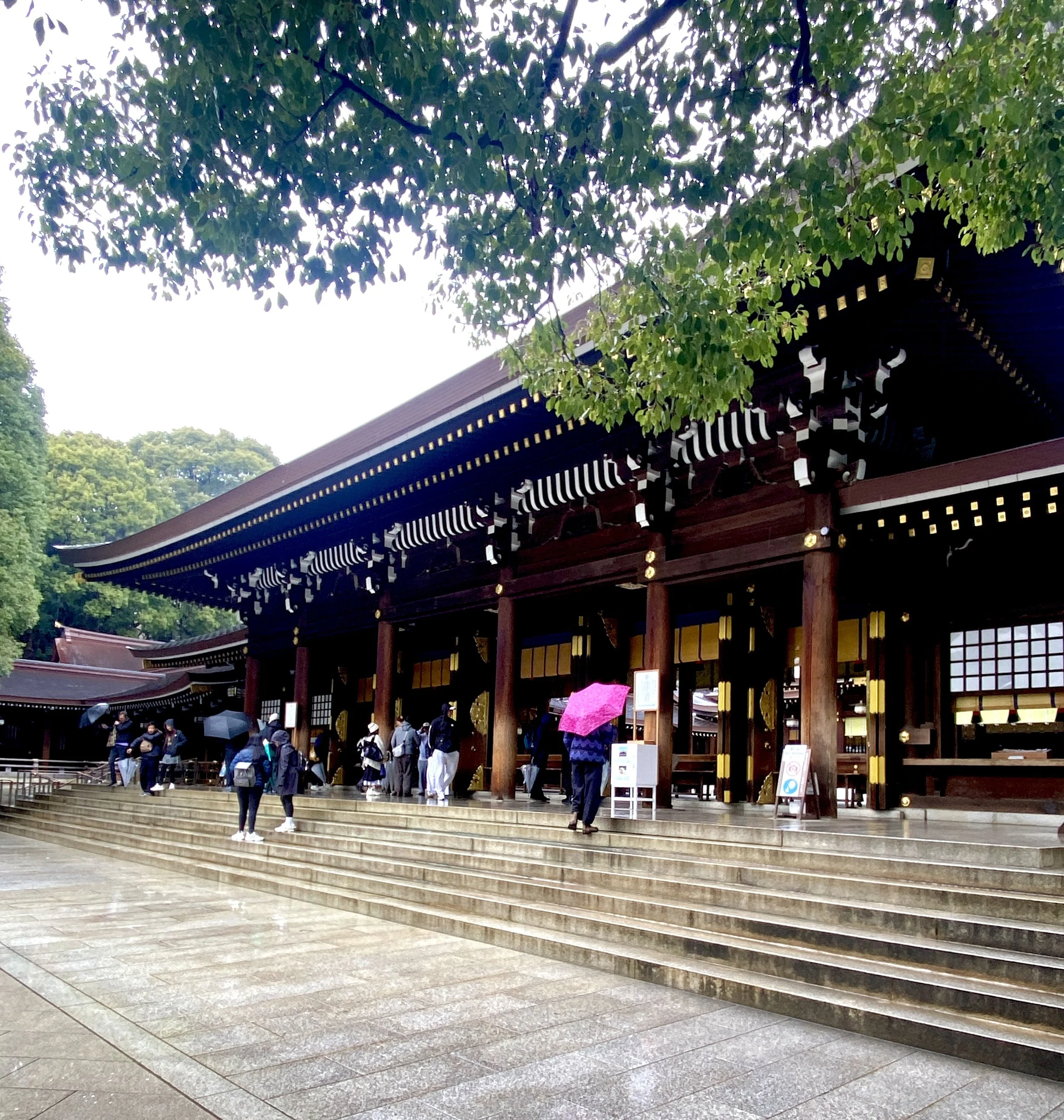 Rain creates a certain moodiness at a visit to Meiji Jingu shrine in Tokyo