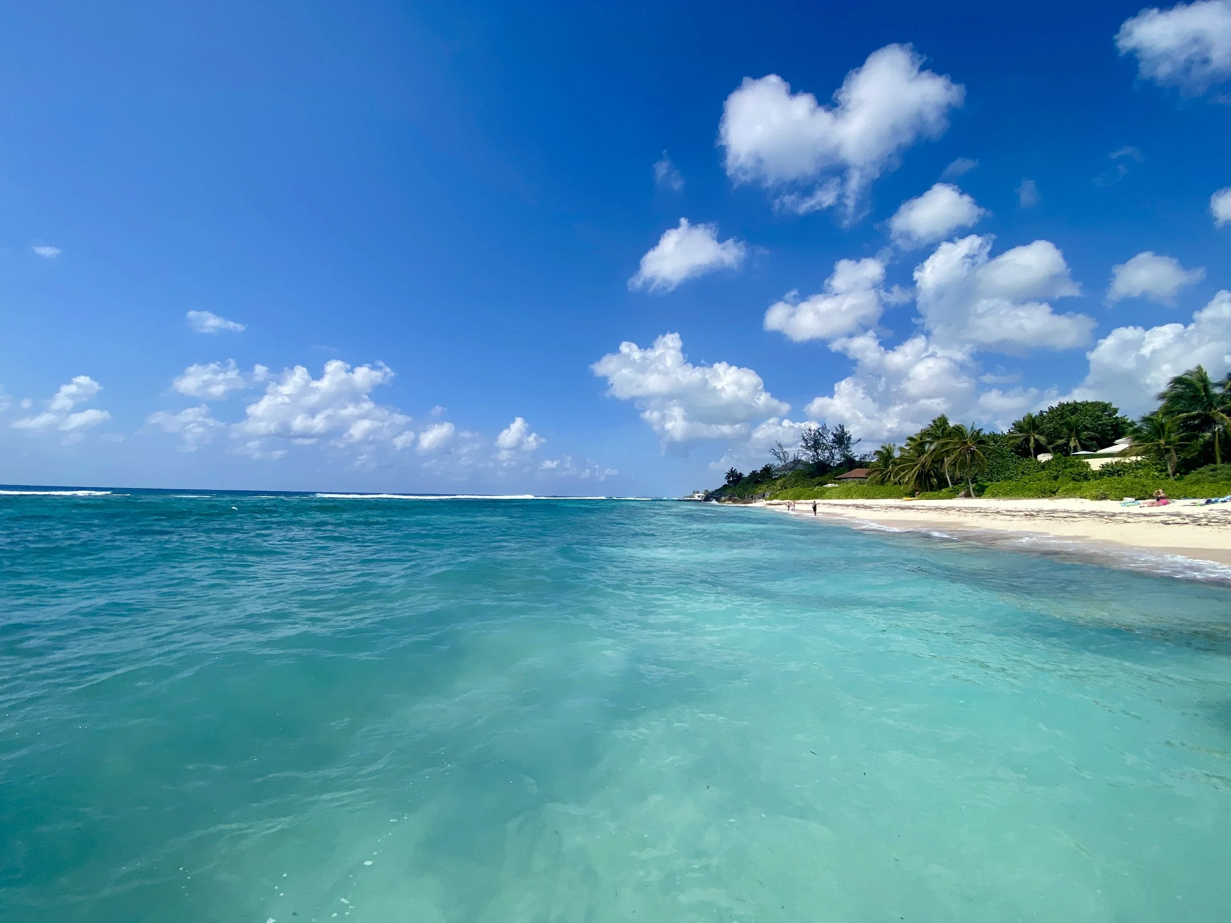pristine waters of Grand Cayman