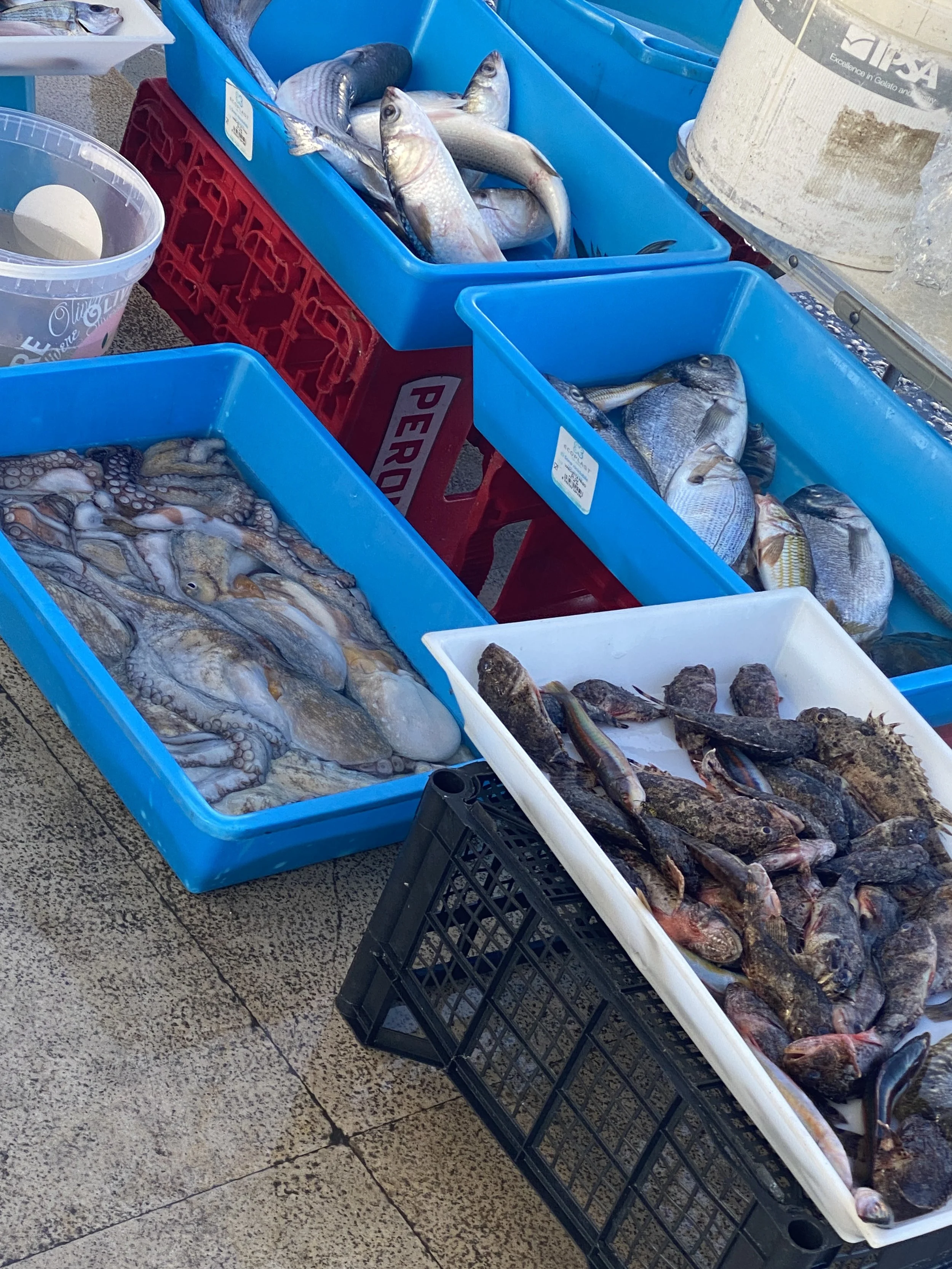 what to do in Bari, Puglia, Italy