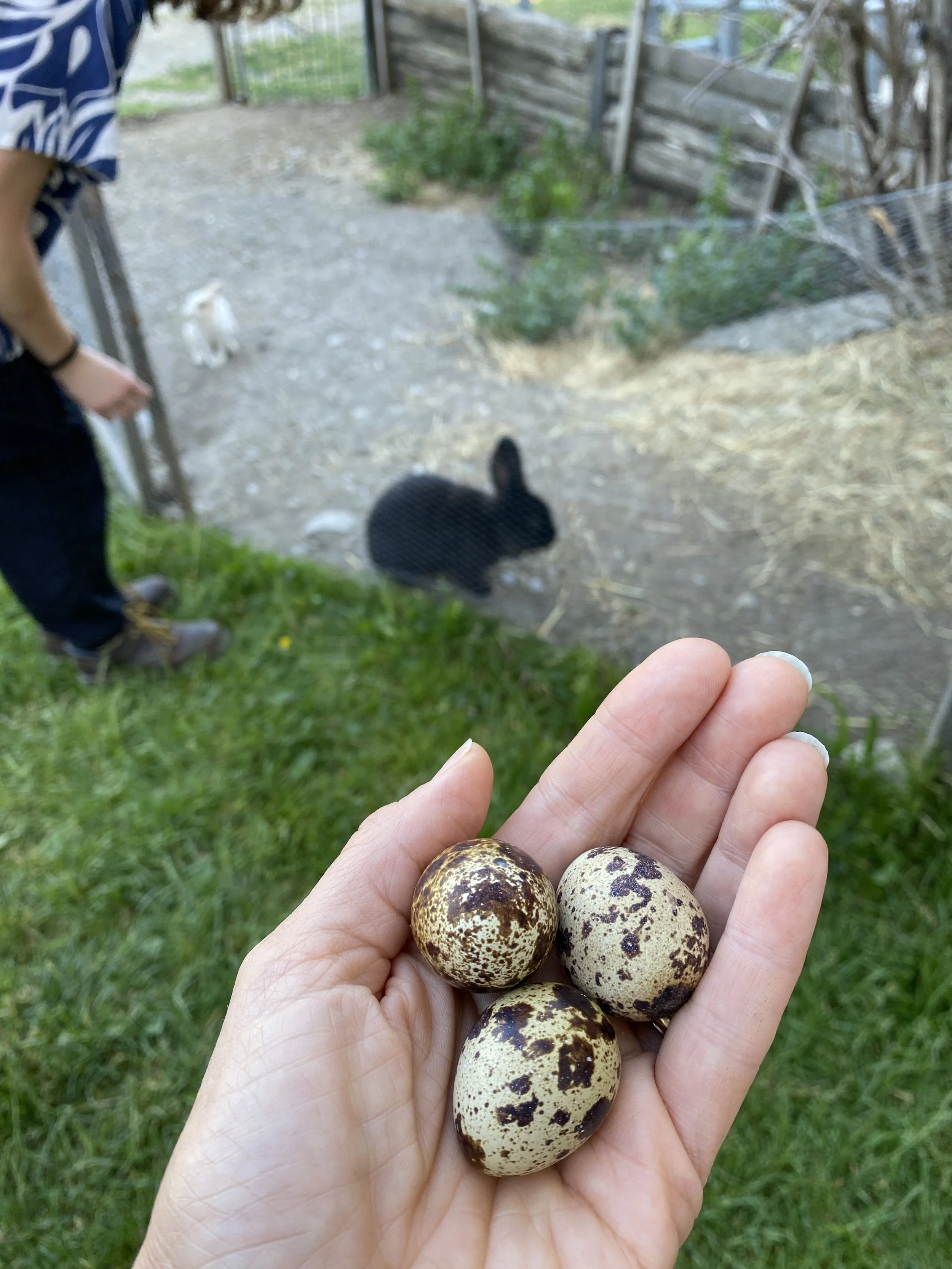 Italy off the beaten path: the Dolomiti alps