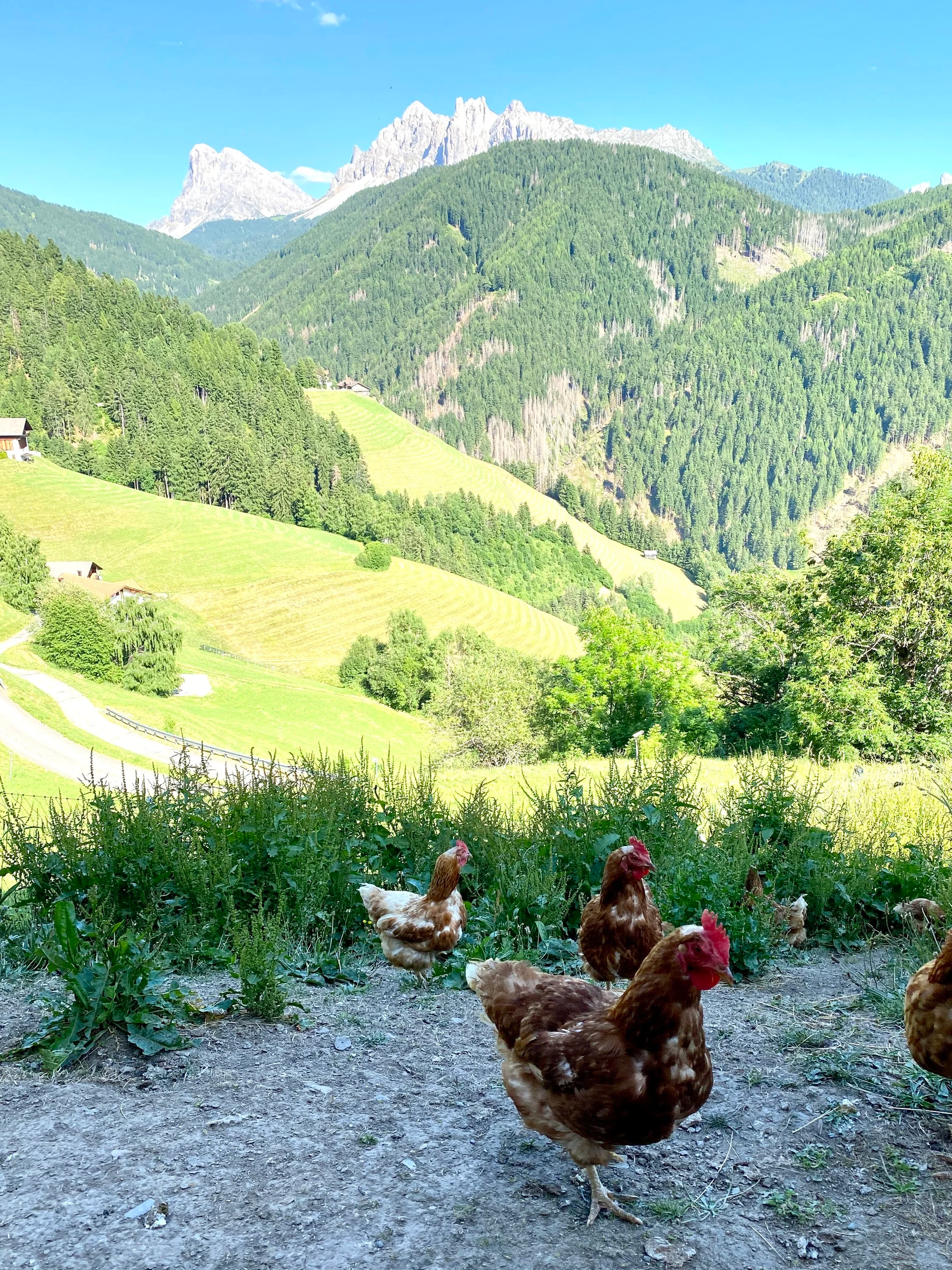 Italy off the beaten path: the Dolomiti alps