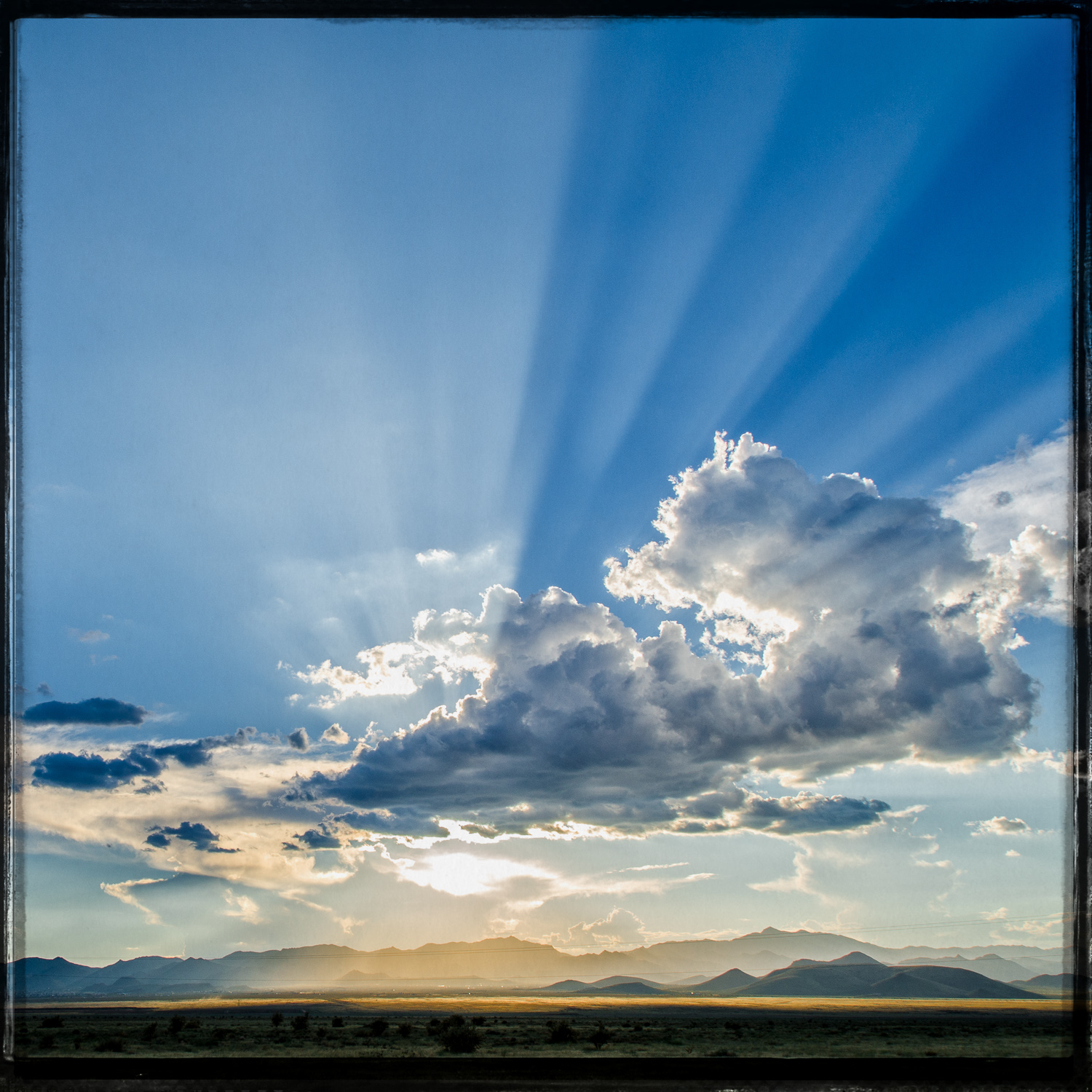 Arizona Sunset