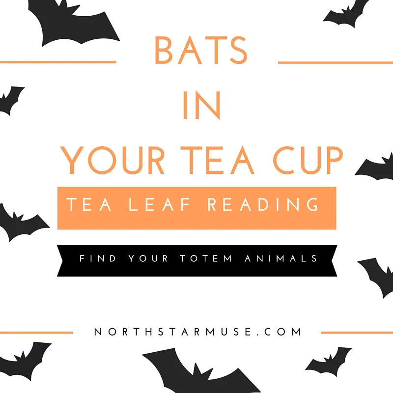 bats in your tea cup.jpg