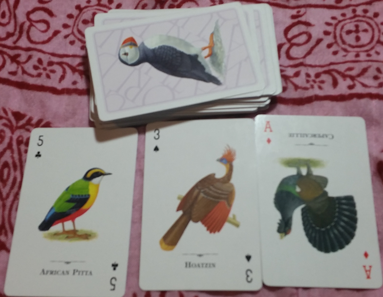 What will the bird-themed playing cards teach me about divination or fortune telling? Here are the cards I drew as an answer.