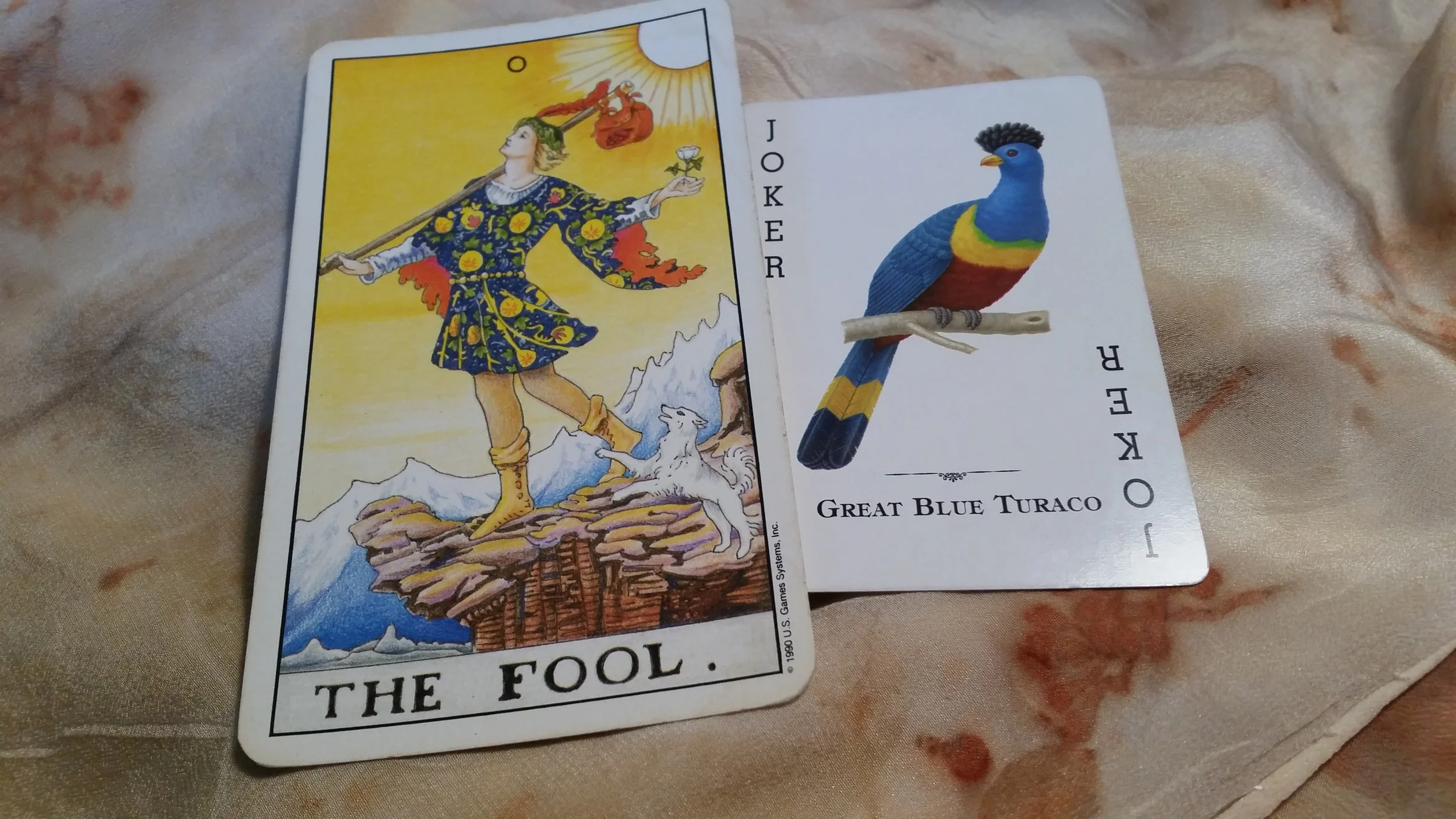 The head position, the fancy feather cap, the pose on a branch or cliff: It seems like this bird is a good fit for The Fool card.