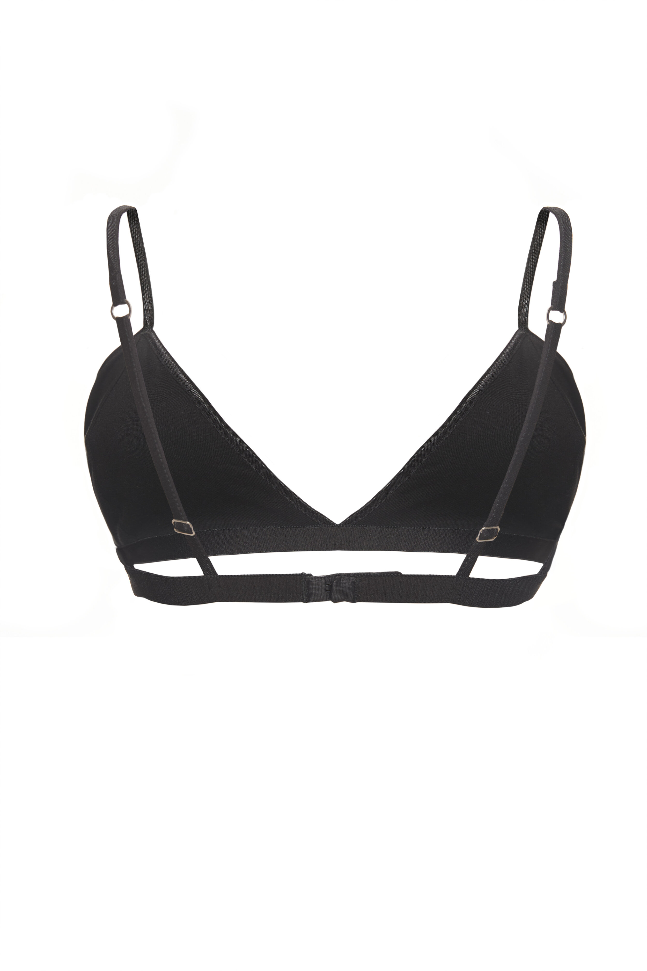 MS_campbell020.JPG