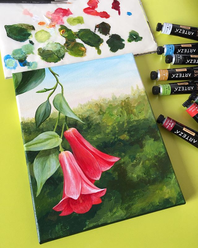 Because is September and we are now in Chile 🇨🇱, we wanted to share a painting of the Chilean national flower. It&rsquo;s called Copihue or Lapageria in English. 
Here is the finished painting using only Acrylic Premium by @artezaofficial 🎨 on a 8